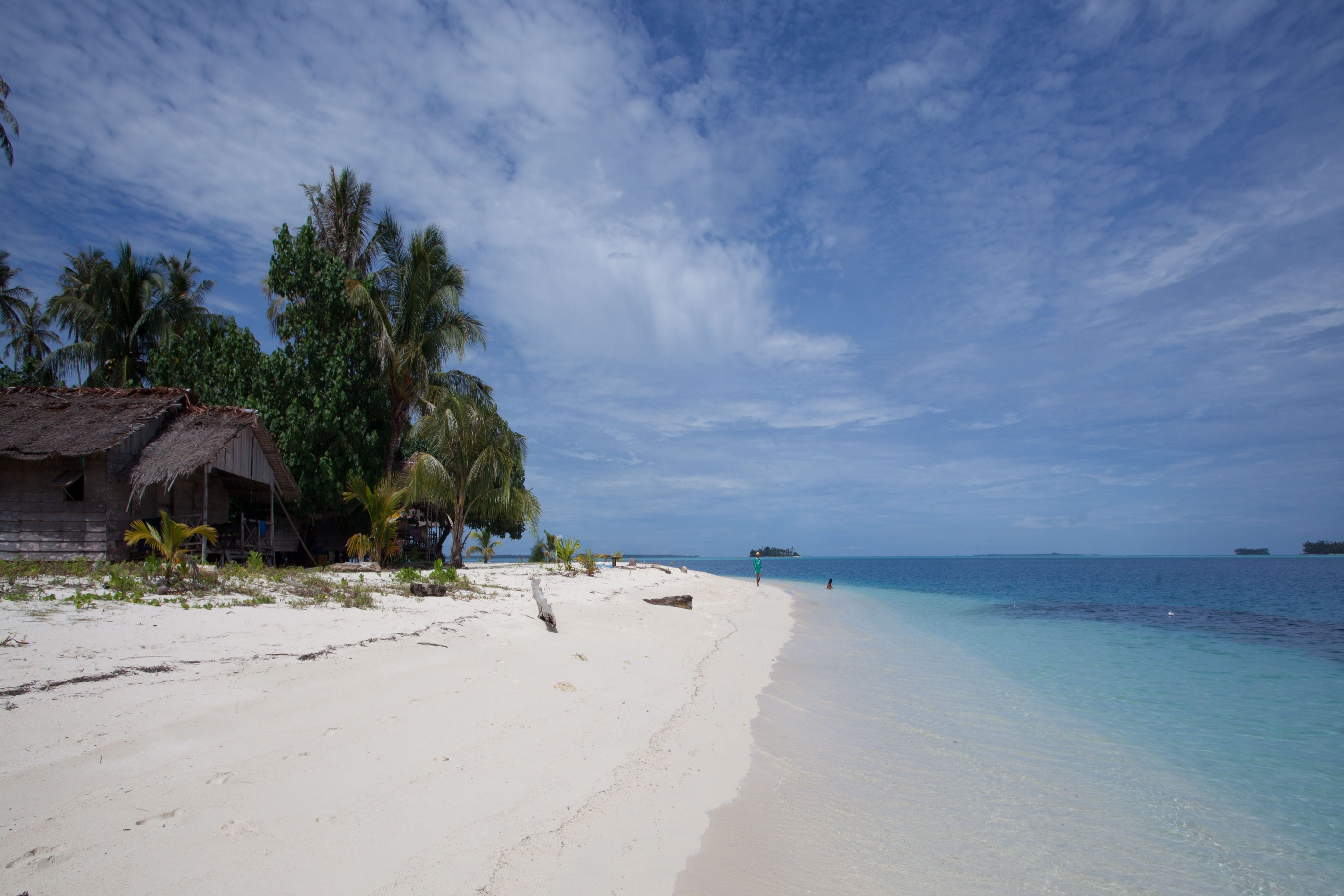 Sandstrand mit Blockhütte und Palmen.